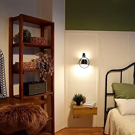 Stilvoller Altbau Im Ruhigen Schleussig Mit Wlan, Netflix, Waschmaschine * 莱比锡
