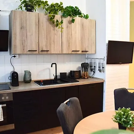Stilvoller Altbau Im Ruhigen Schleussig Mit Wlan, Netflix, Waschmaschine Leipzig