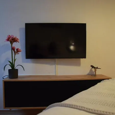 Stilvoller Altbau Im Ruhigen Schleussig Mit Wlan, Netflix, Waschmaschine * Leipzig