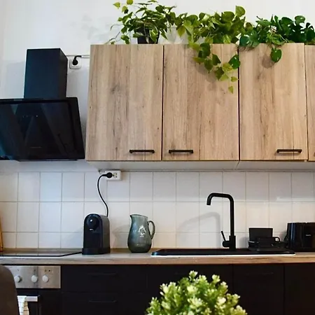 Stilvoller Altbau Im Ruhigen Schleussig Mit Wlan, Netflix, Waschmaschine Lejlighed