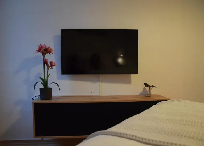Stilvoller Altbau Im Ruhigen Schleussig Mit Wlan, Netflix, Waschmaschine * Лейпциг