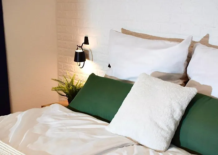 Апартаменты Stilvoller Altbau Im Ruhigen Schleussig Mit Wlan, Netflix, Waschmaschine *